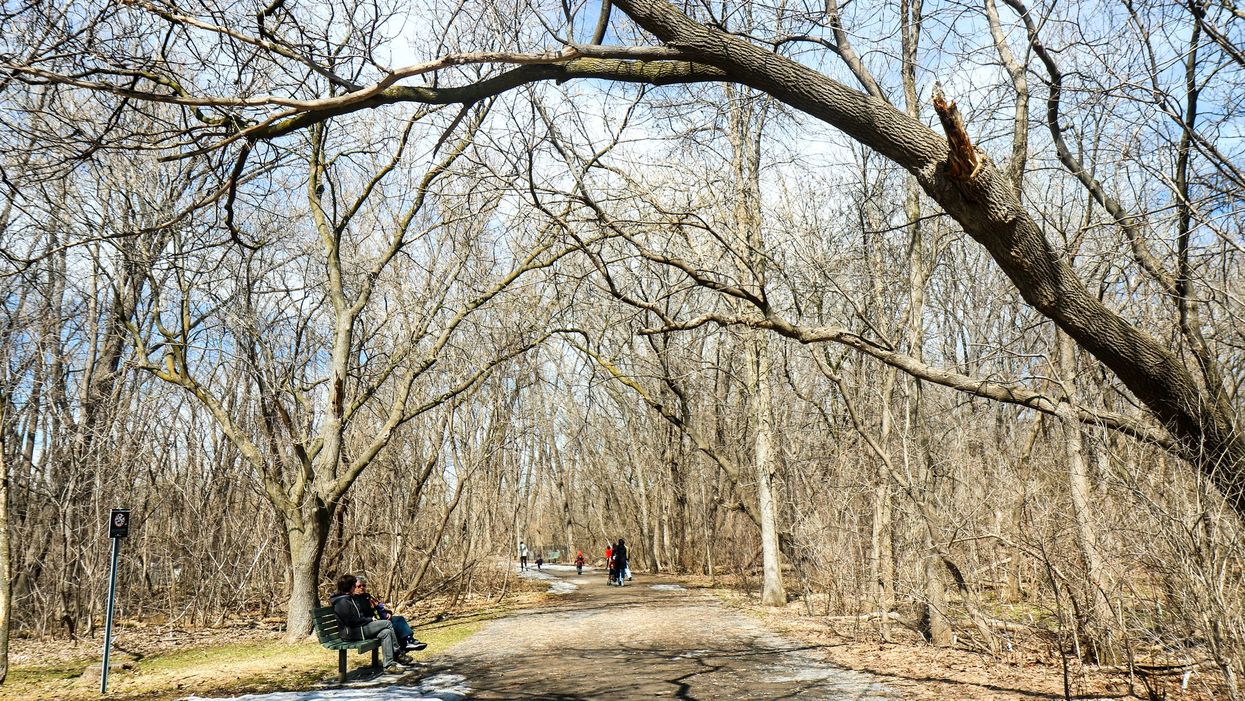 Montreal's Parc de l'Île-de-la-Visitation on a spring day.