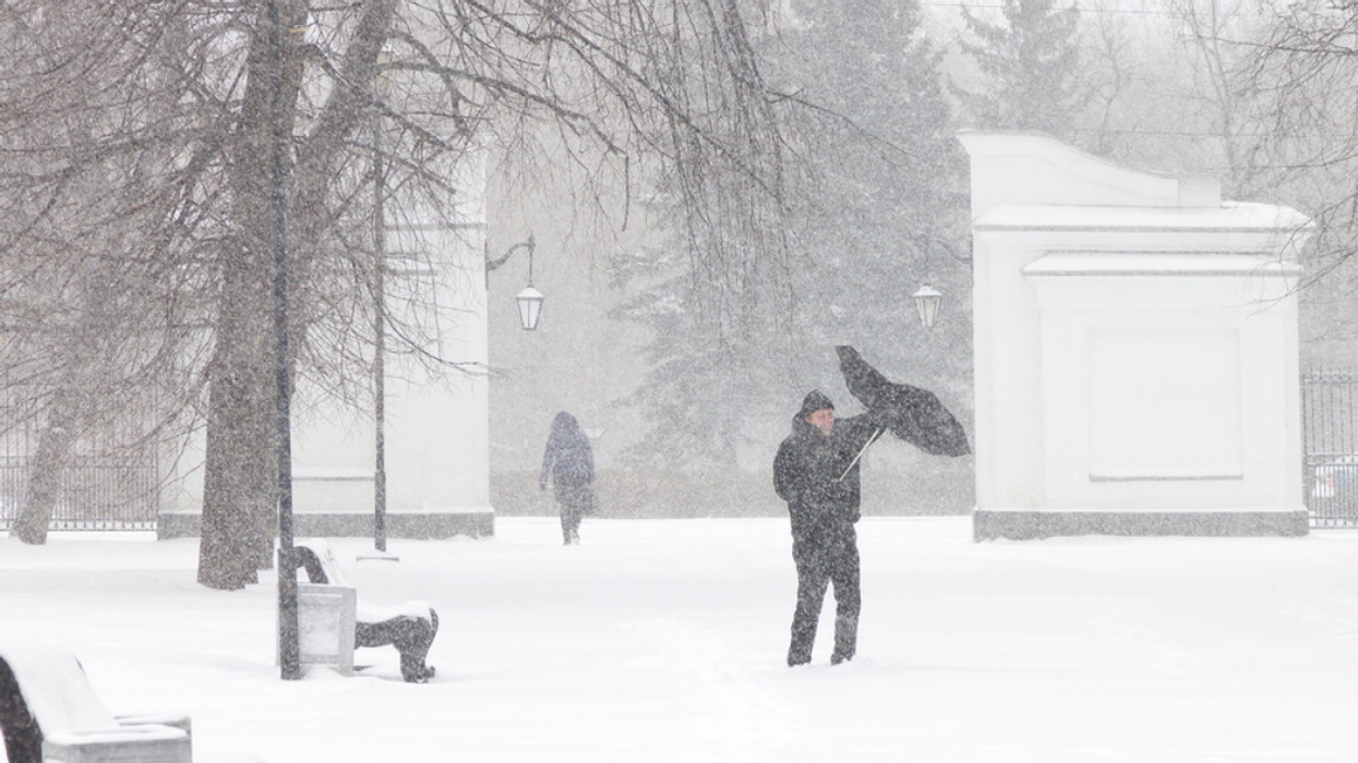 Montreal's Weather Forecast Shows 90 km/h Winds Battering Montreal On Saturday