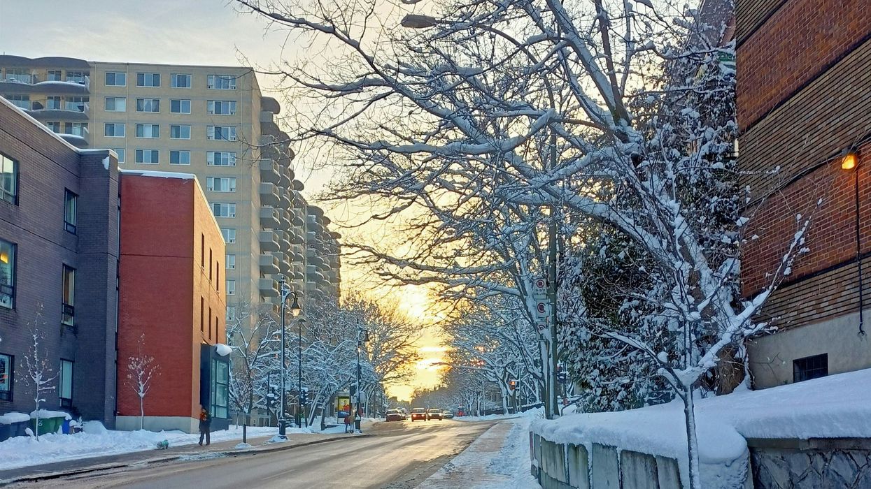 montreal street with trees and sidewalks covered in snow