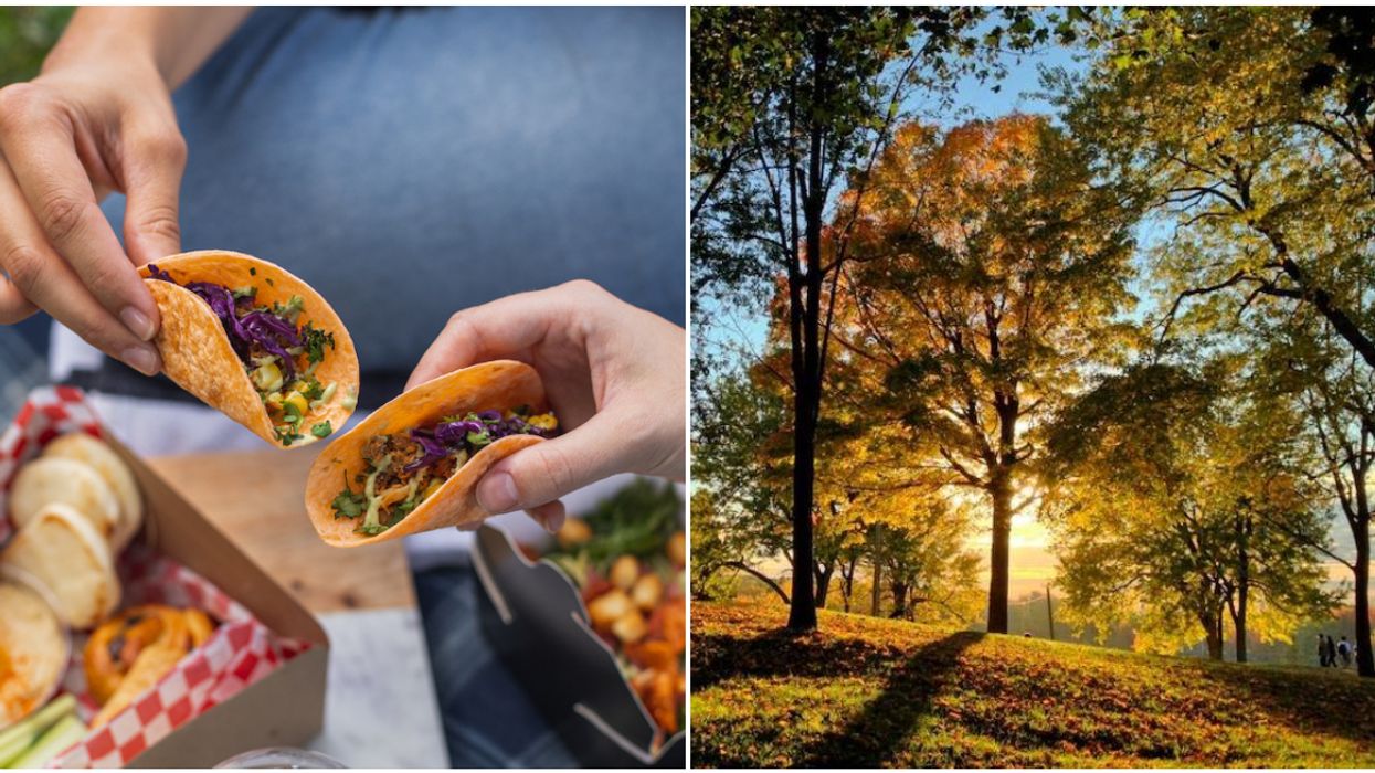 Mount Royal's Beaver Lake Pavilion Will Have Taco Picnic Boxes This Fall