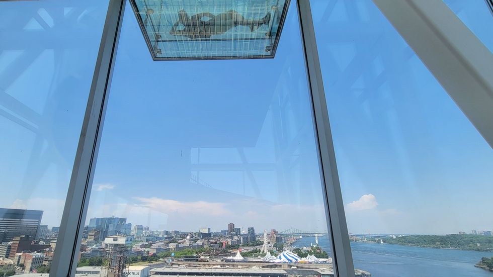 My partner being way more intrepid on the glass outlook.