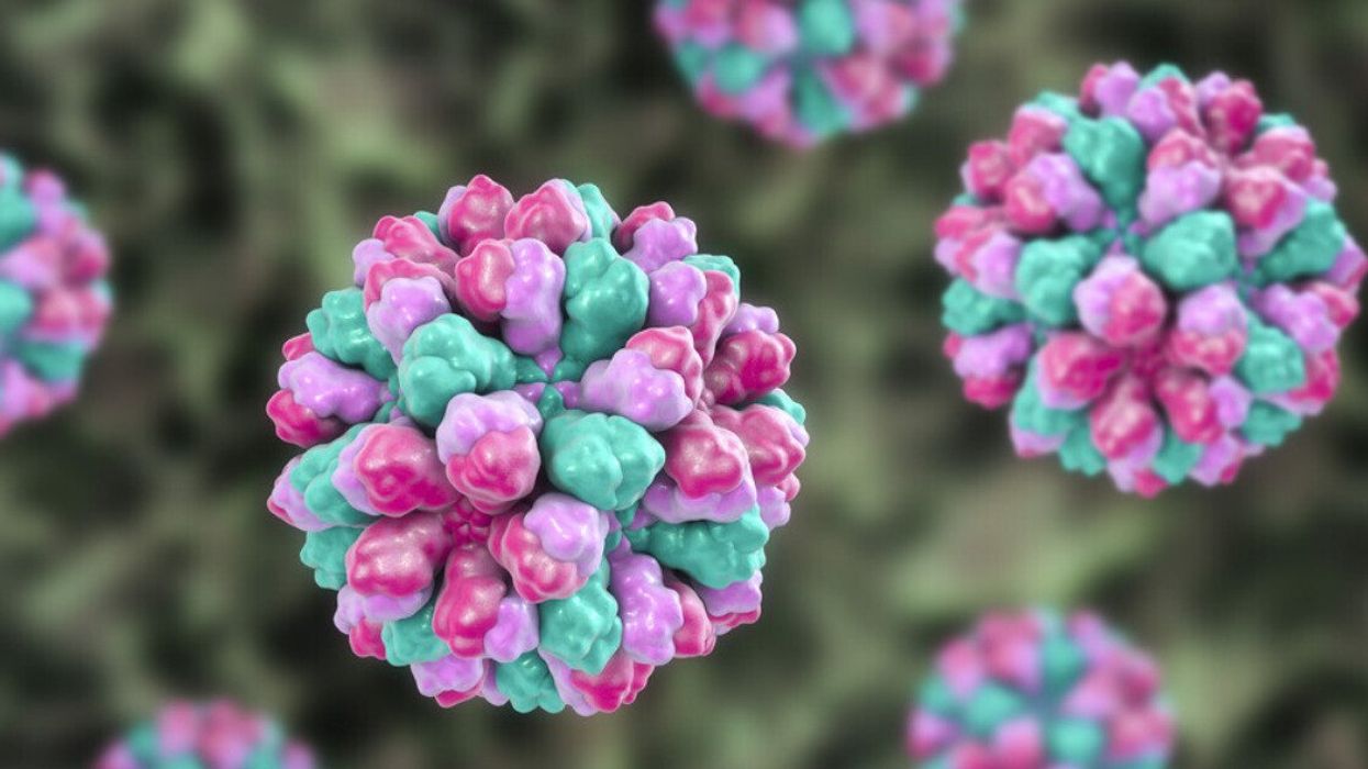 Norovirus 2025 Ontario