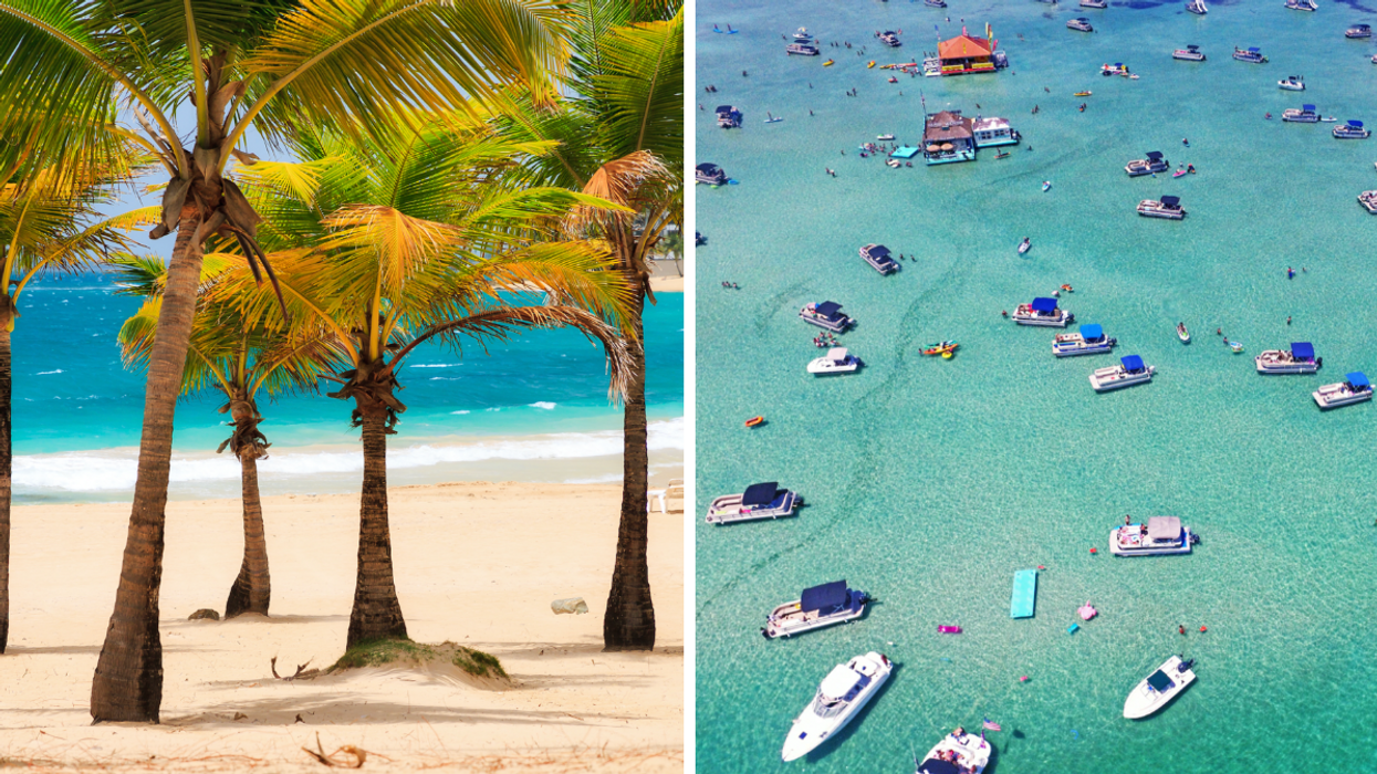 Palm trees in Akumal, Mexico. Right: Yachts in Destin, Florida.