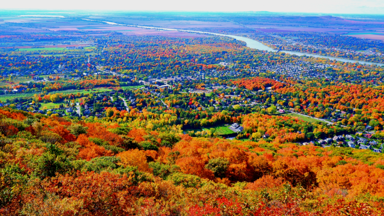 Panoramic view from the top of Mont-Saint-Hilaire, featuring colourful autumn leaves.