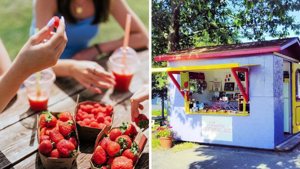 People eat strawberries and raspberries, with red smoothies, at a picnic table. Right: A booth painted red, yellow and blue selling raspberries and blueberries.