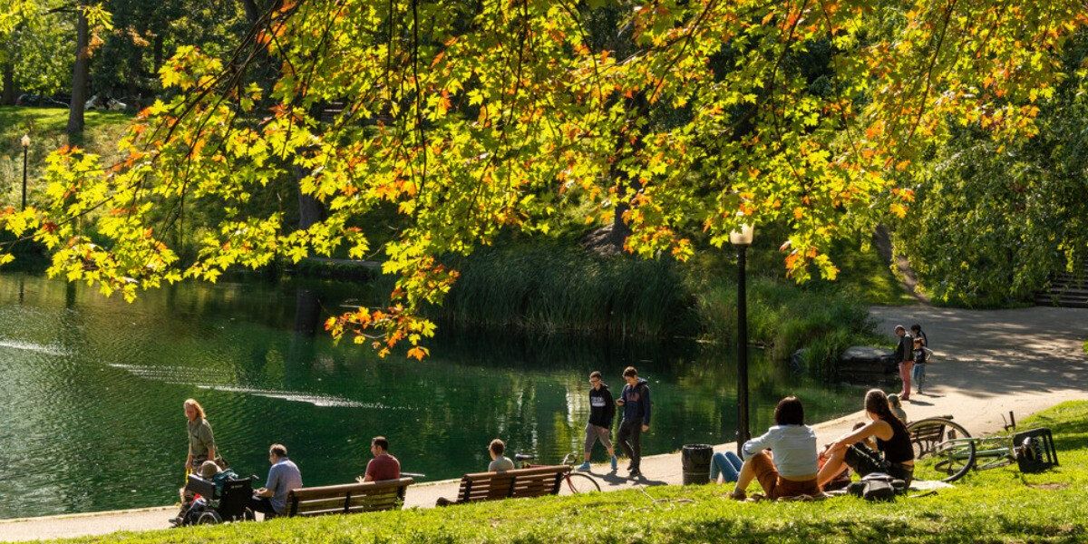 Montreal Is Heating Up — Here Are 7 Cheap, Easy Ways To Help Save The City (& Planet) - Vimarsana News