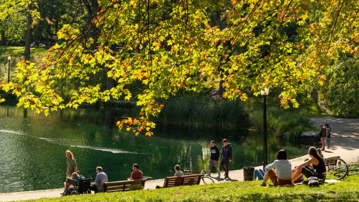 People enjoying a warm and sunny day at La Fontaine Park.