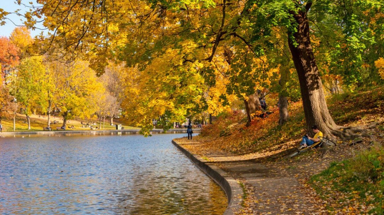 People enjoying a warm day at Parc La Fontaine in the fall.