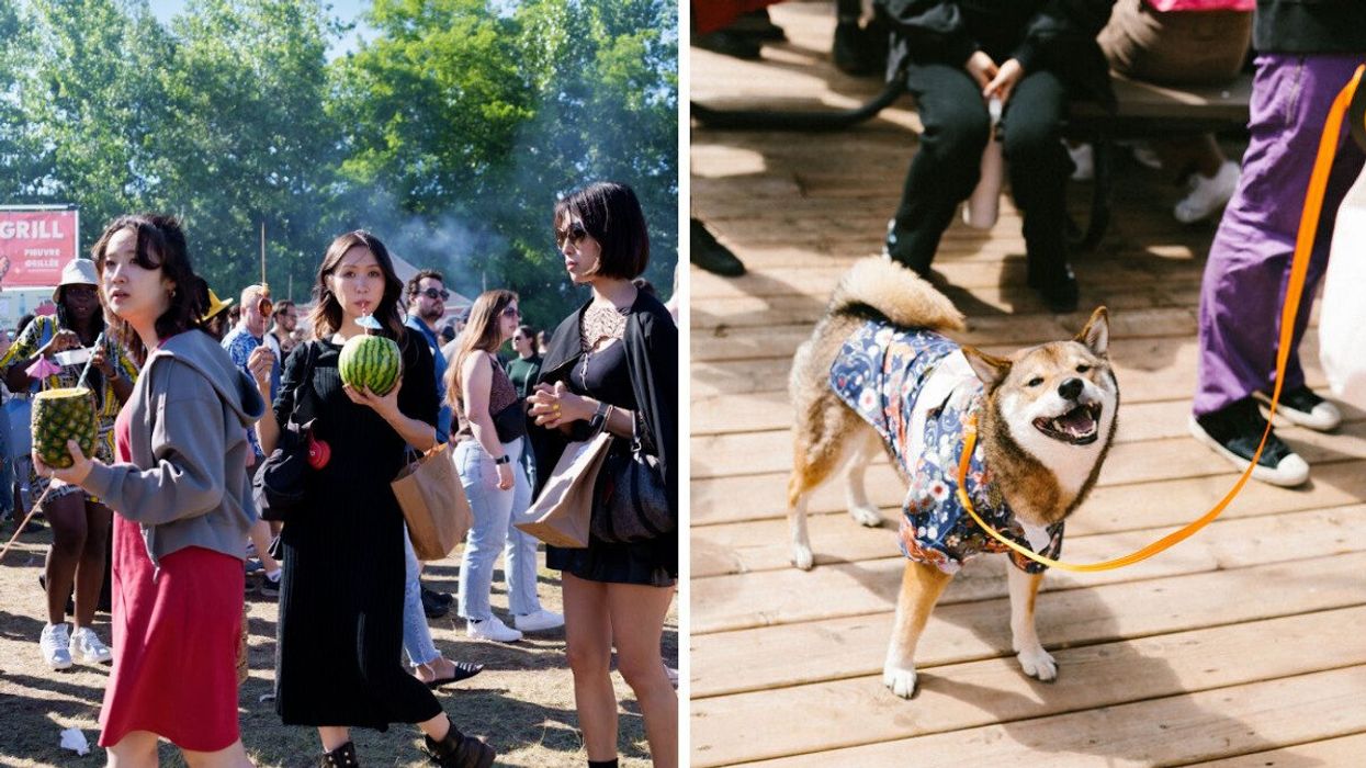 People enjoying drinks at a Japanese festival. Right: A Shiba Inu dog in a robe.
