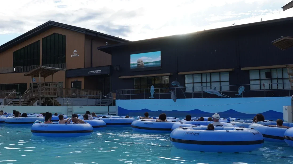 People floating in a pool while watching a movie.