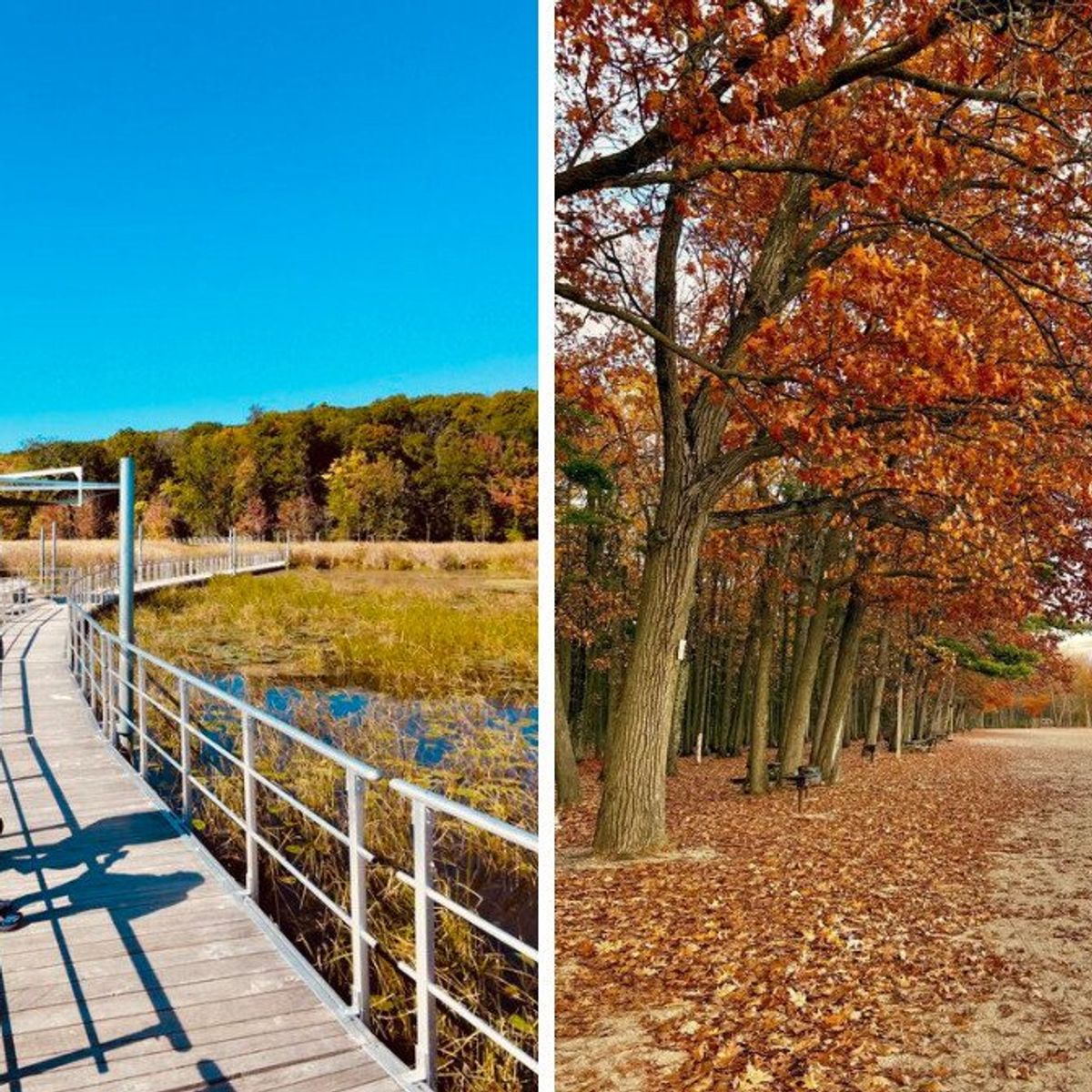 This beautiful park near Montreal has a floating boardwalk and dreamy forest trails