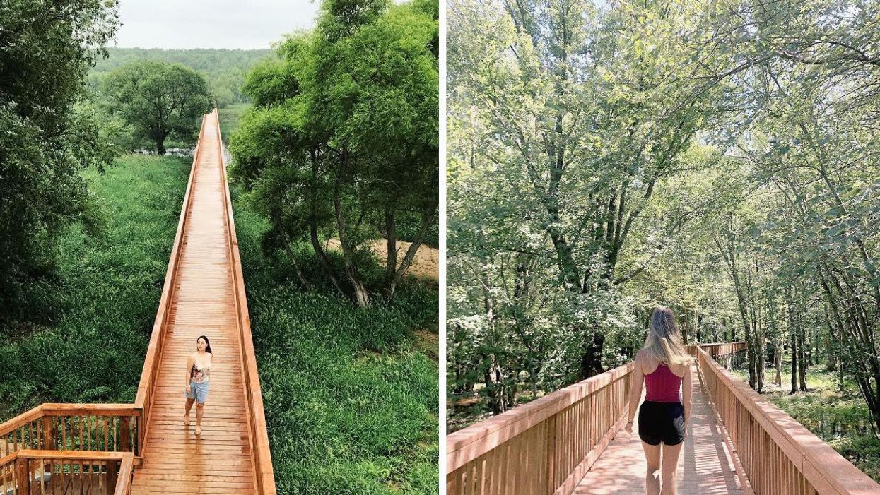 People walking across a boardwalk in a marshy riverside park in Nicolet, Quebec.
