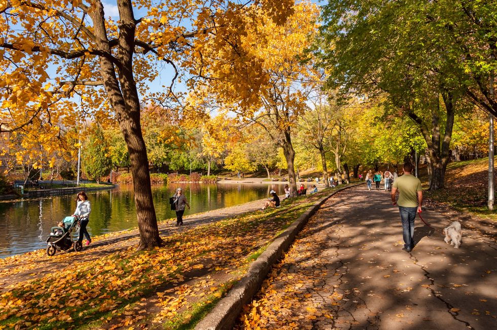 People walking around the large pond in Parc La Fontaine in Montreal with autumn leaves falling around.