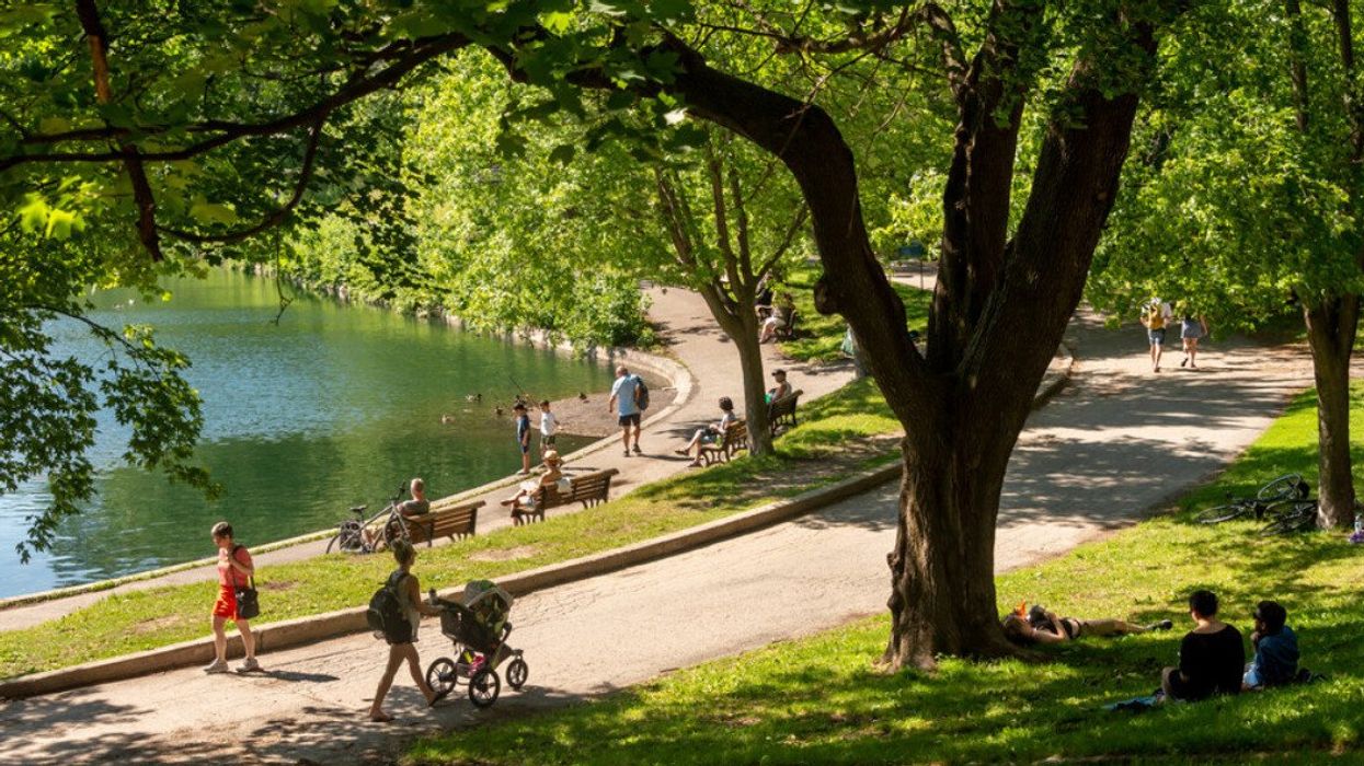 People walking through and pinicing in Parc La Fontaine.