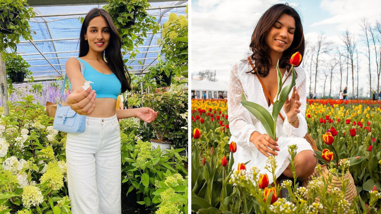 Person holding a flower at Atwater Market in Montreal, Quebec, Right: Person holding a tulip at U-Pick Montreal.