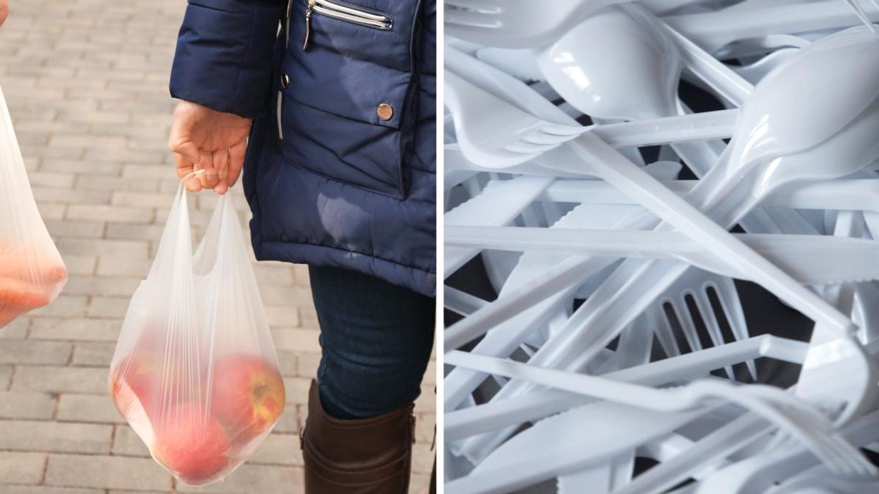 Person holding plastic bag filled with fruit. Right: A pile of plastic cutlery.