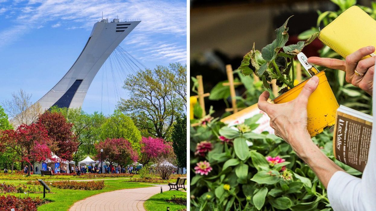 Plant sale tents in the Montreal Botanical Garden, under the Olympic Tower. Right: Someone holds up a flower plant.