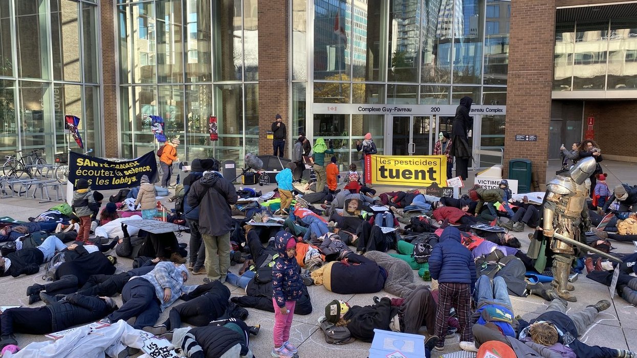 Protesters stage ‘die-in’ against pesticides
