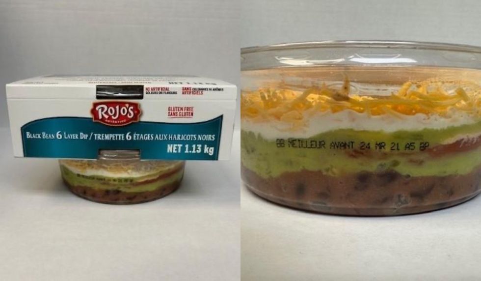 Rojo's Black Bean Six Layer Dip