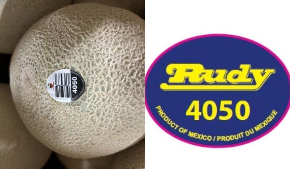 Ruby & Malichita brand Cantaloupes