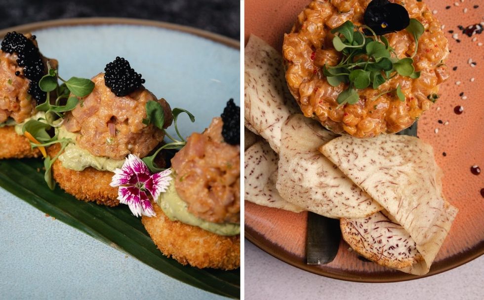 Salmon tartare from Terrasse Maya in Montreal, Quebec.
