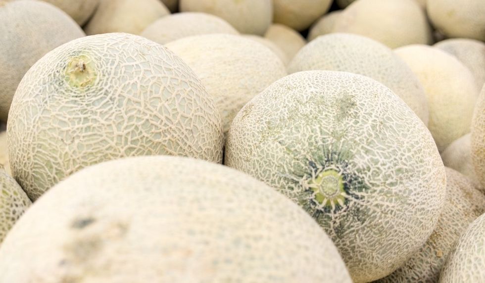 Save On Foods & Urban Fare brand Cantaloupe