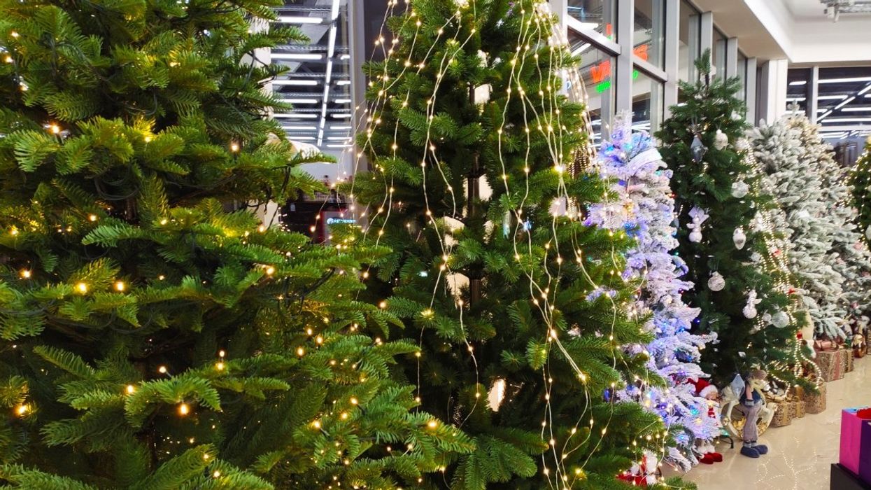 Several artificial pre-lit Christmas trees in a store.