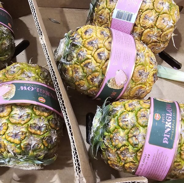 Several Pinkglow pineapples in a box.