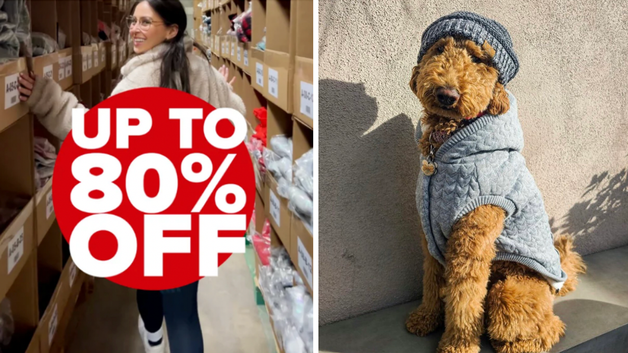 A Massive Warehouse Sale For Your Dog Is Coming To Montreal This