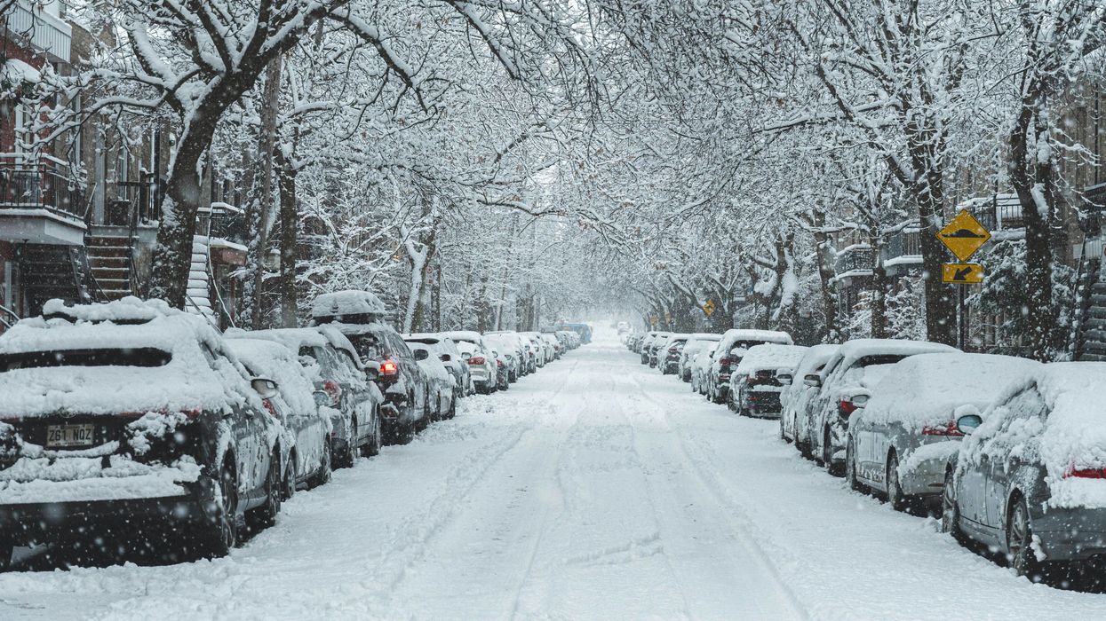 snow covered street with cars and trees in montreal