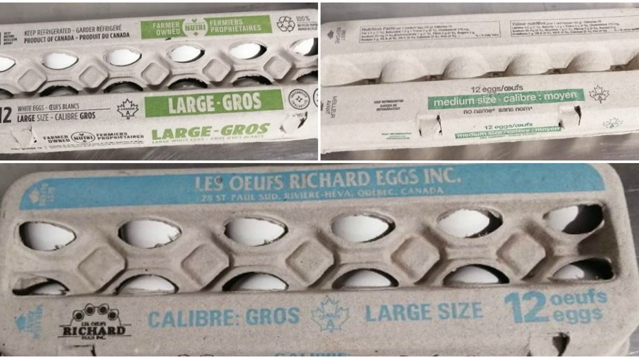 Some Eggs Have Been Recalled In Quebec Due To Possible Salmonella Contamination