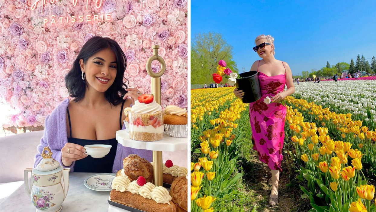 Someone having tea in front of a floral backdrop. Right: Someone picking tulips in a tulip field.