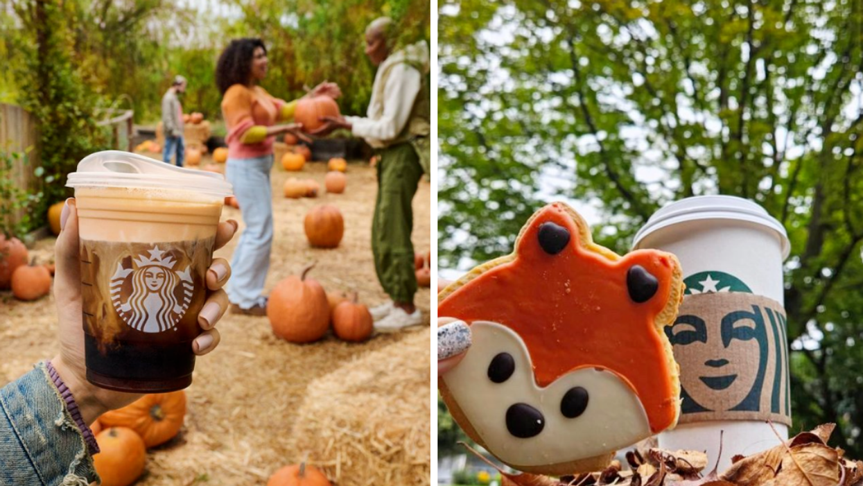 Someone holds a fall beverage from Starbucks at a pumpkin patch. Right: A fox cookie and Starbucks coffee cup.