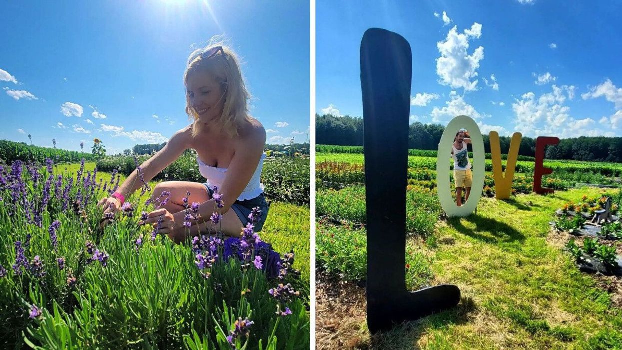Someone picking lavender on a sunny day at La Belle de Coteau-du-Lac. Right: A person stands in the "O" of a giant "LOVE" sign.