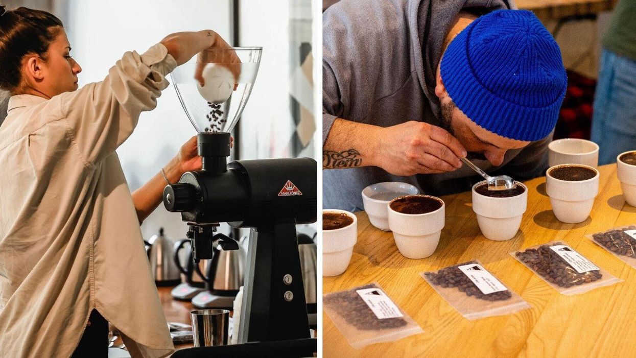 Someone pours beans into a grinder. Right: A person smells a cup of coffee at a cupping.