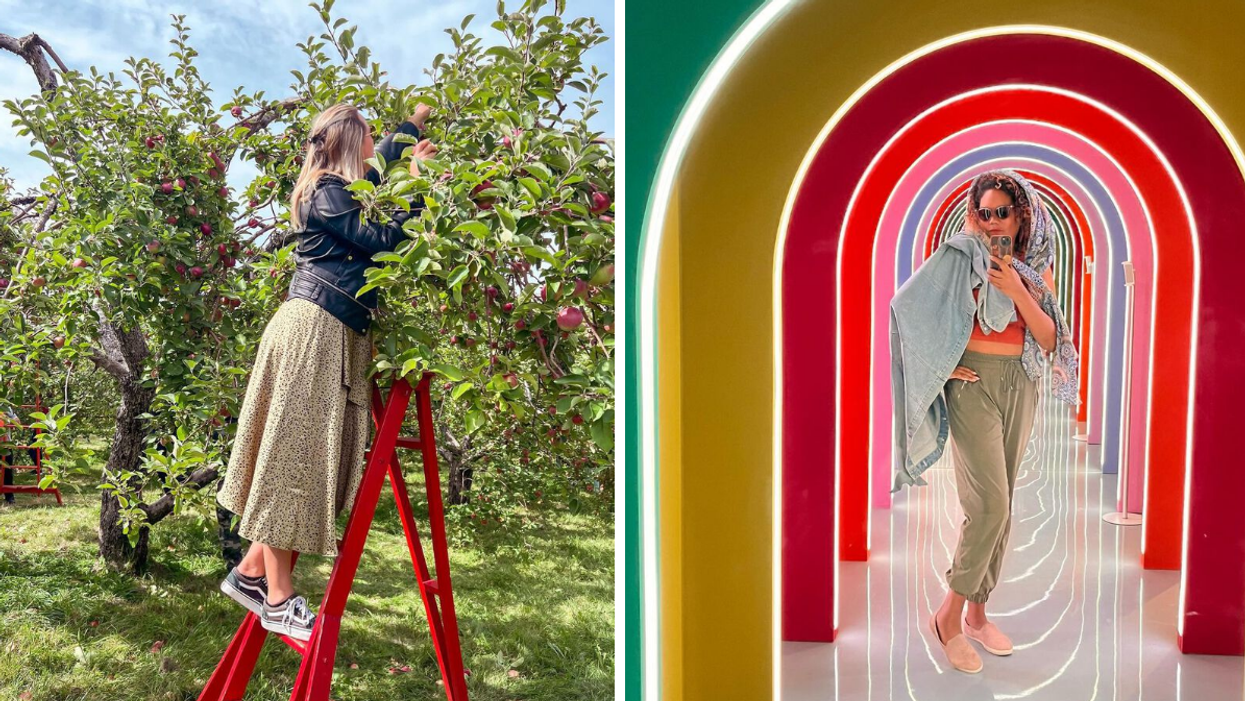 Someone stands on a ladder picking apples off a tree. Right: Someone stands under a series of a colourful, lit-up arches.