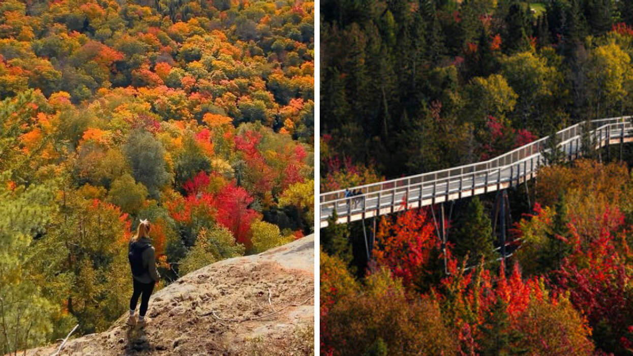 Someone stands on a mountain overlooking colourful trees. Right: Aerial view of a footbridge winding through red, orange and yellow trees during the fall foliage season.