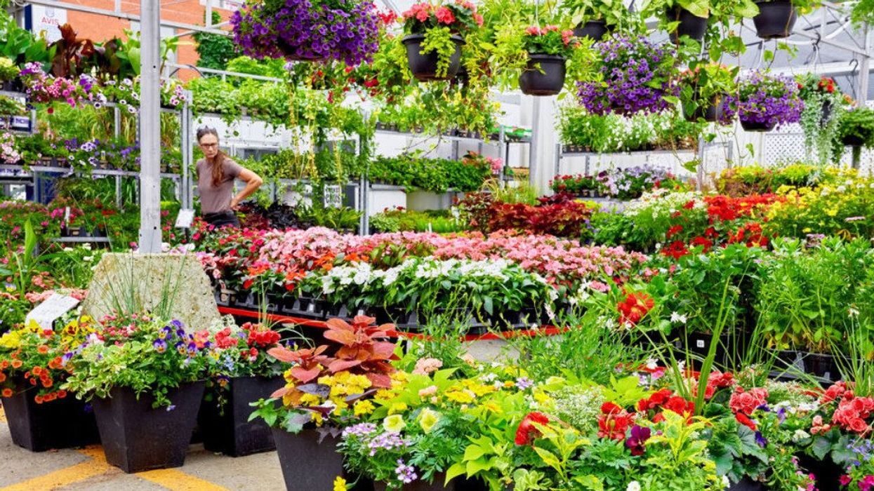 Someone walks through a flower stand in Montreal.