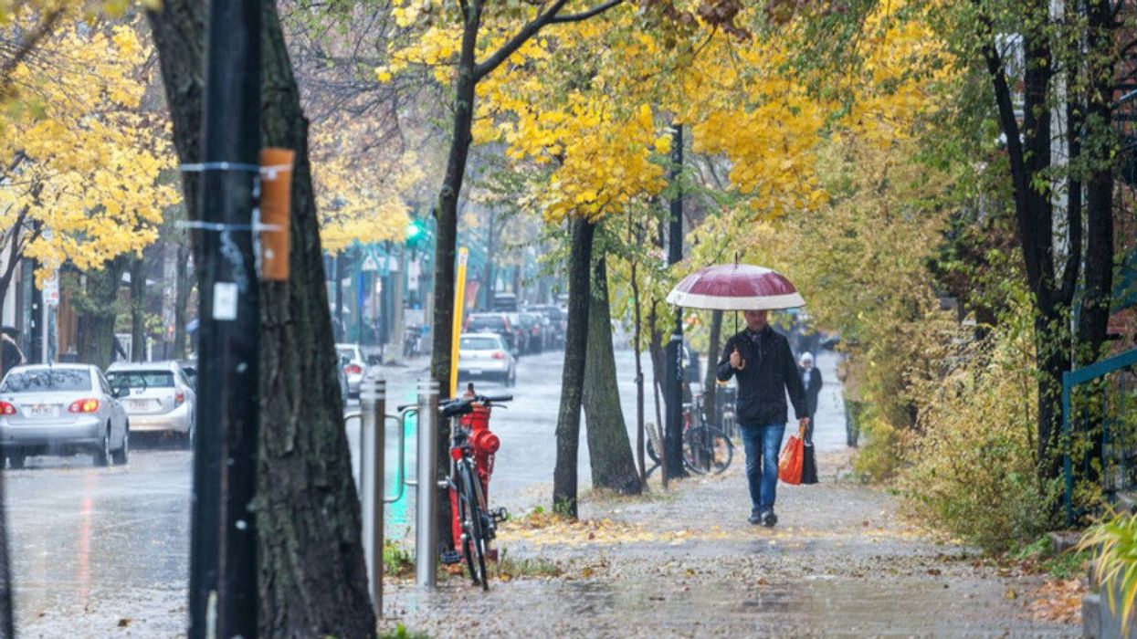 Someone with an umbrella under autumn trees in Montreal.