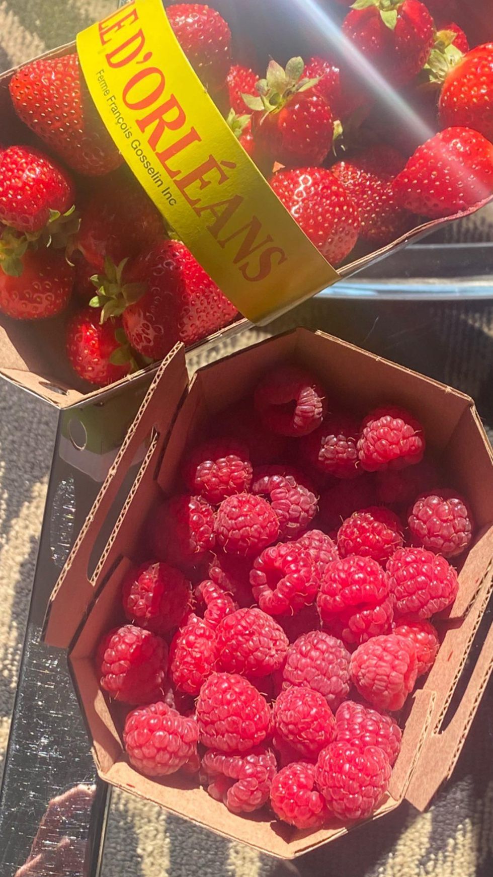 Strawberries and raspberries from Montreal's Jean-Talon Market.