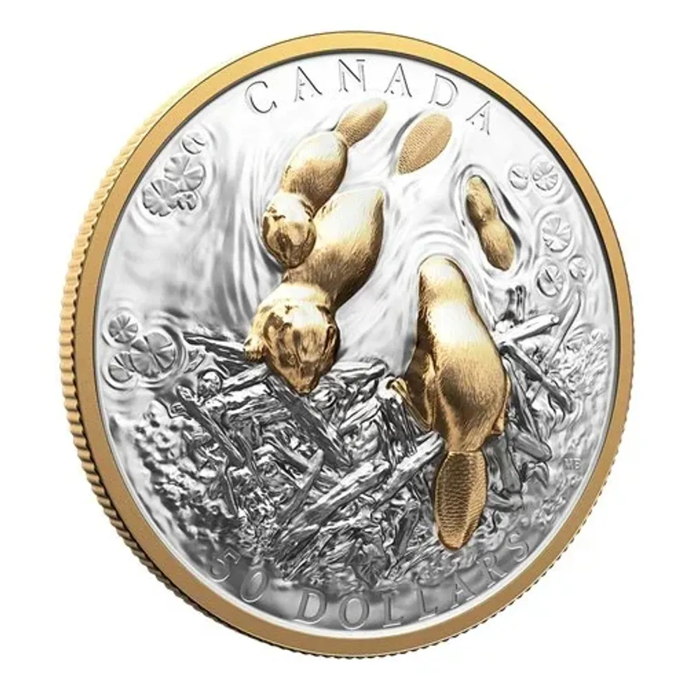 The Beaver \u2014 Fine Silver Coin.