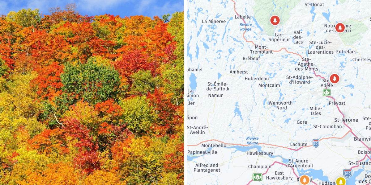 The Fall Foliage In These Quebec Regions Is Already Peaking & Here's