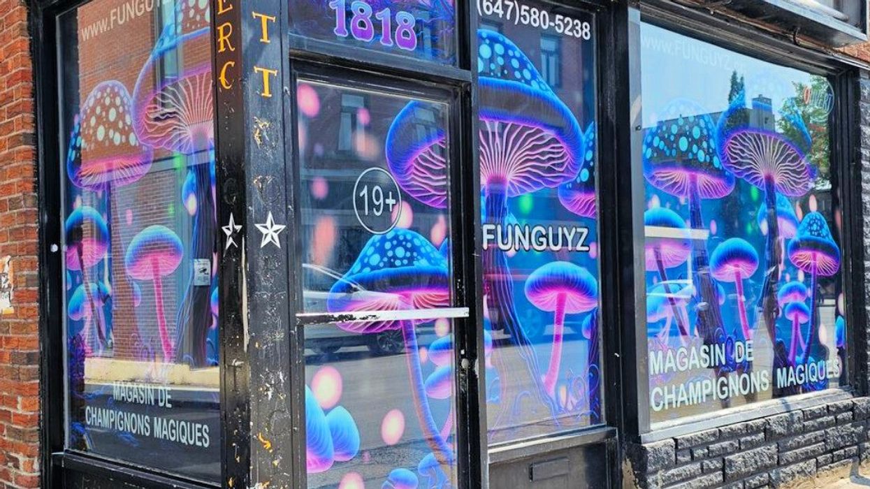 The Funguyz store front in Montreal covered in psychedelic neon blue, purple and pink mushrooms.