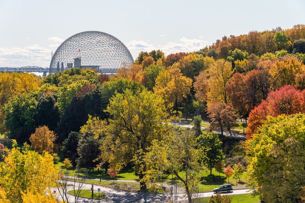The Montreal Biosphere peeks through autumn foliage at Parc Jean-Drapeau.