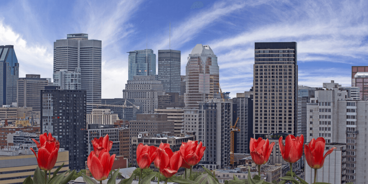 Forget the calendar — here’s how Montrealers actually know spring has arrived, Life in canada Forget the calendar — here’s how Montrealers actually know spring has arrived, Life in canada