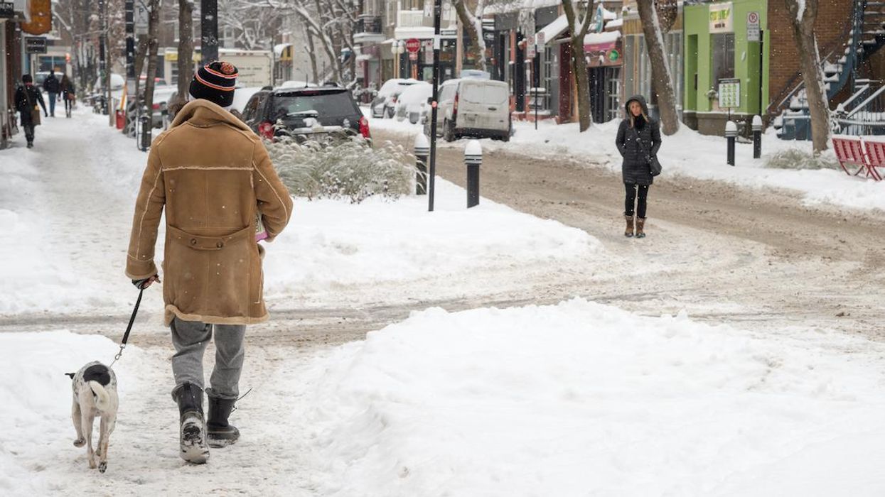 The Montreal SPCA Wants To Make Breakups Easier On Your Dog With This Custody Agreement