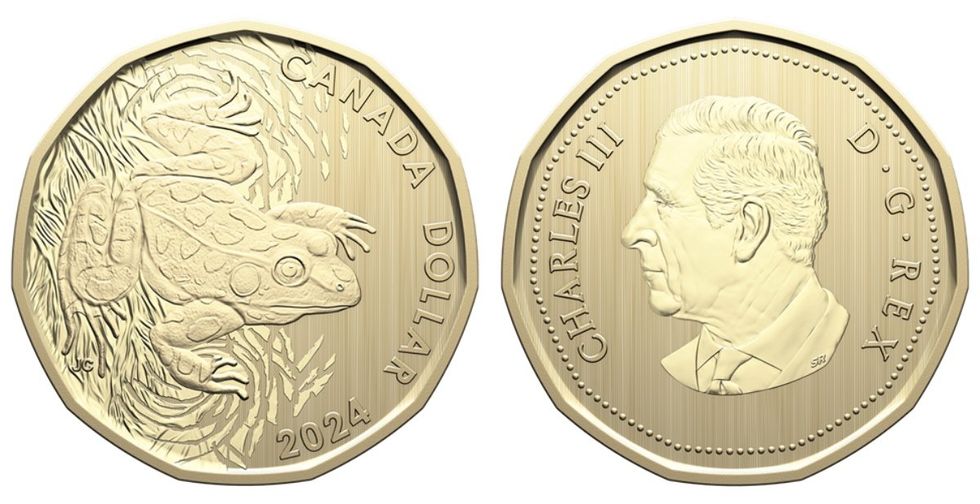 The new loonie as part of the specimen set featuring a leopard frog.