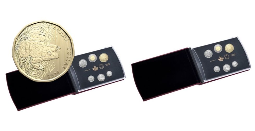 The new loonie as part of the specimen set featuring a leopard frog.