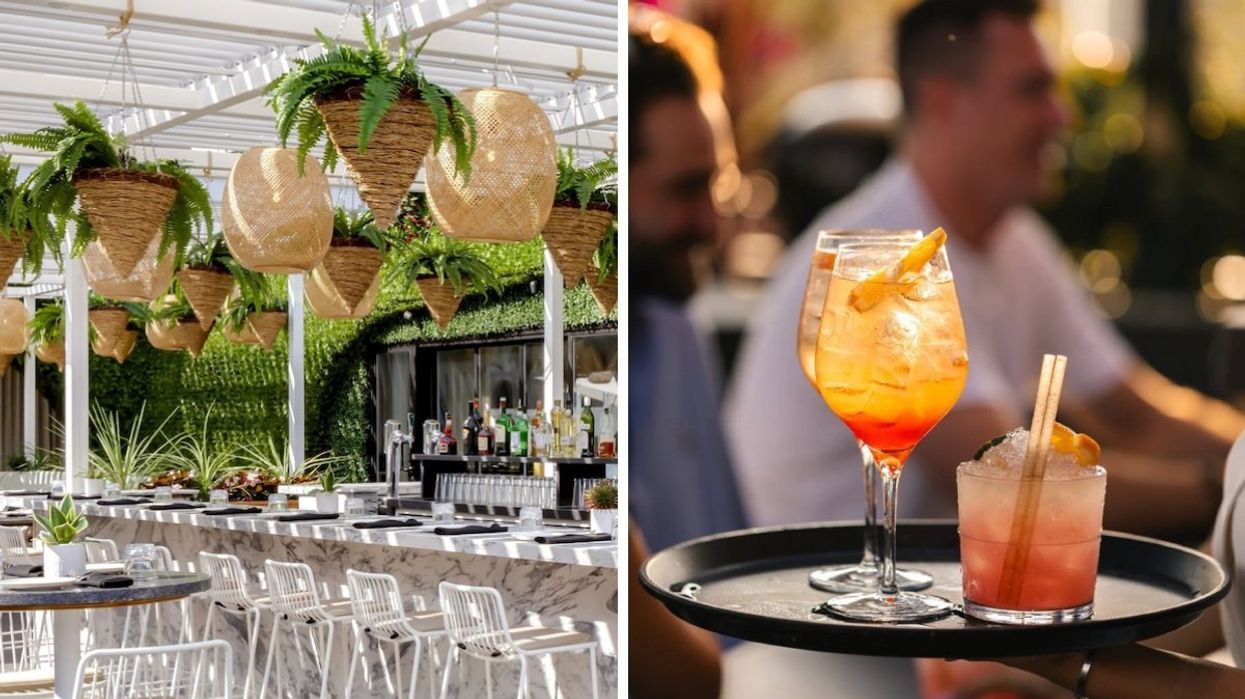 The seating area at Terrasse Belvu in Montreal with hanging plants and a bar area in the background. Right: A person holding up a tray with three cocktails on it.