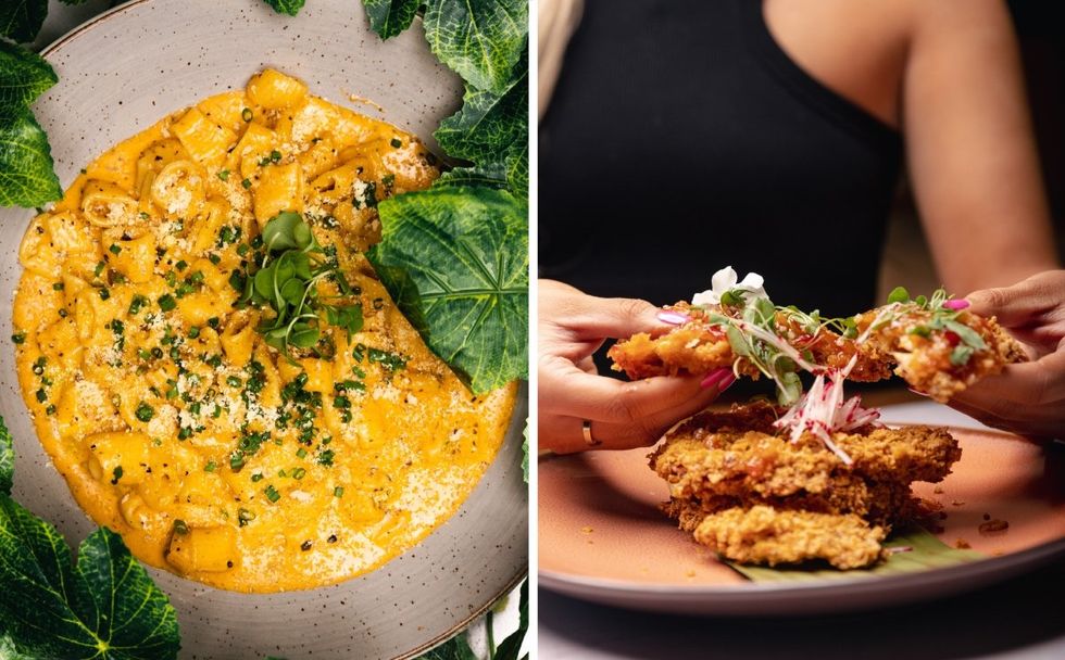 The truffle mac and cheese and crispy fried chicken from Terrasse Maya in Montreal, Quebec.